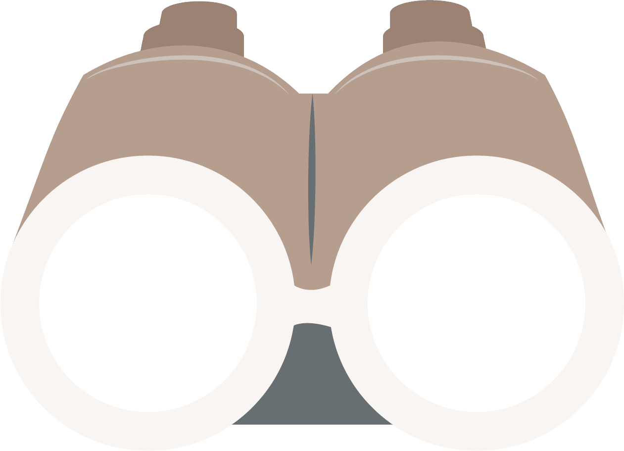Brand Discovery
