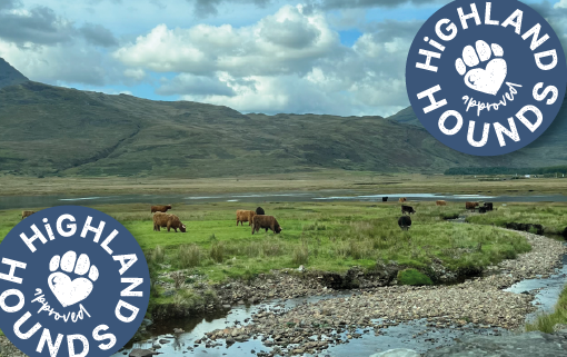 scotland pet brand design