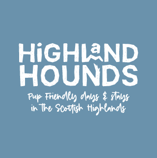 Custom wordmark logo pet brand