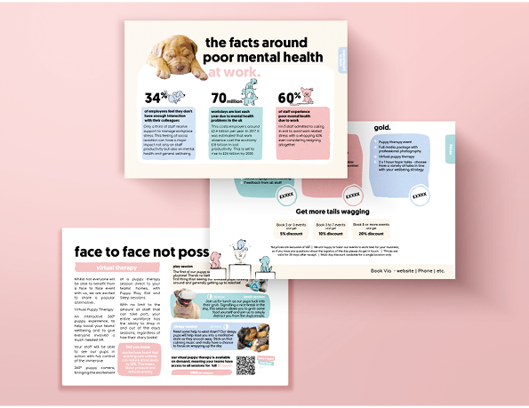 Pet brand slide deck