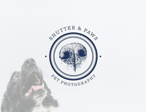 Pet photography branding