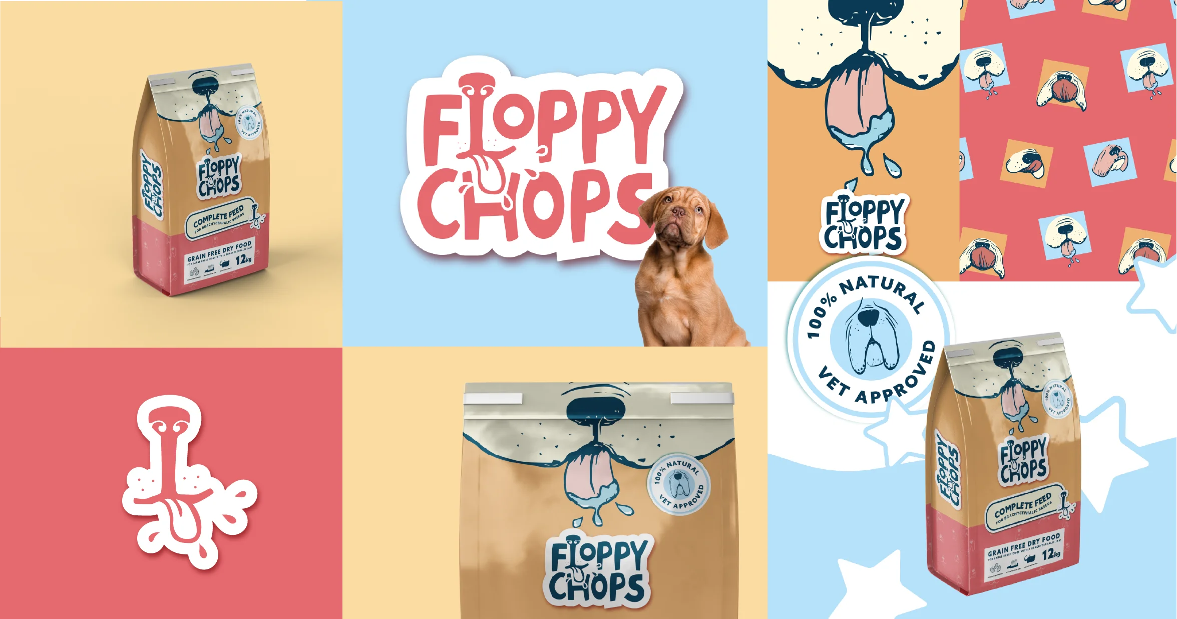 Pet brand identity - Pet industry creative - project showcase floppy chops dog food