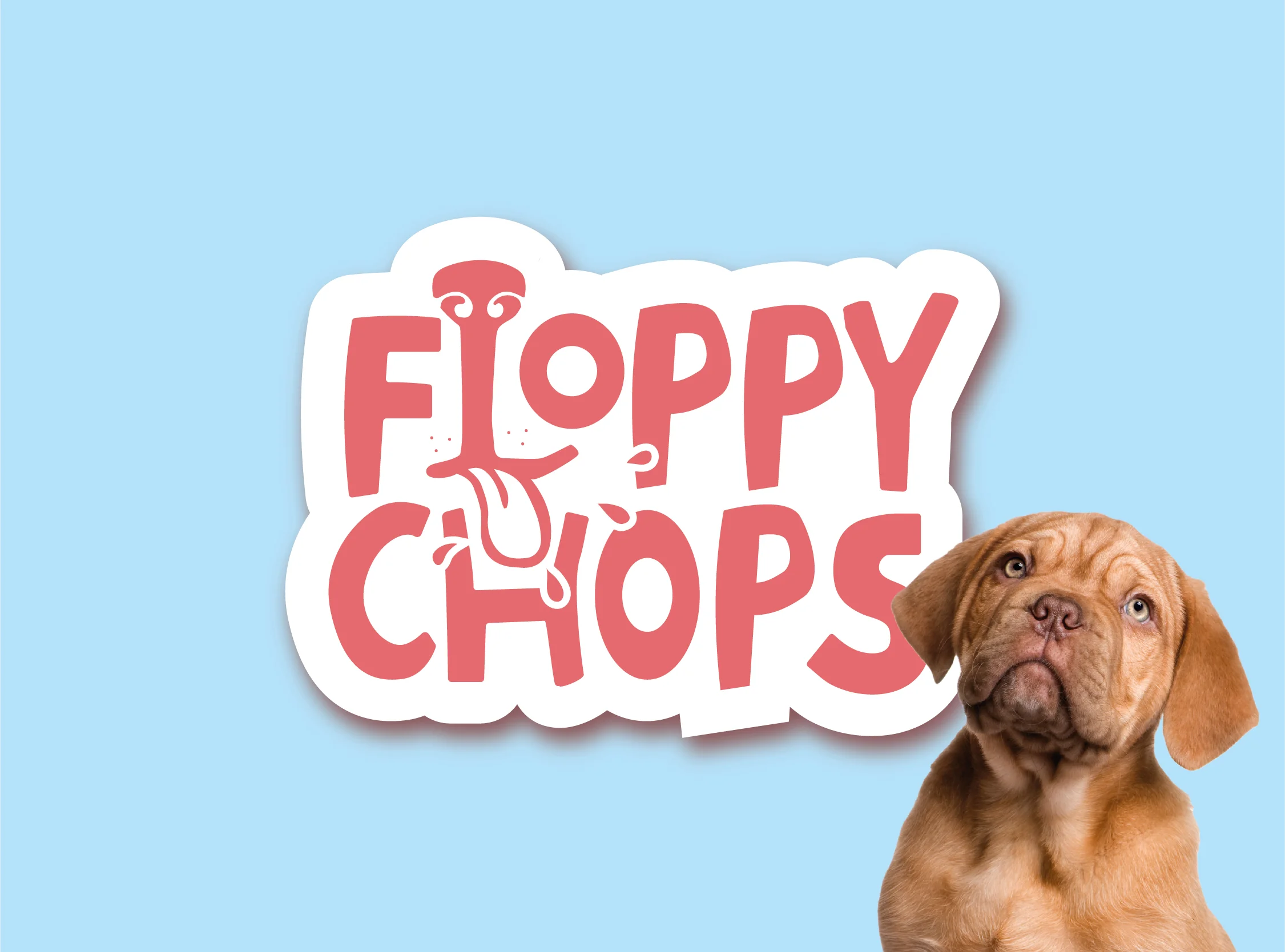Pet brand identity