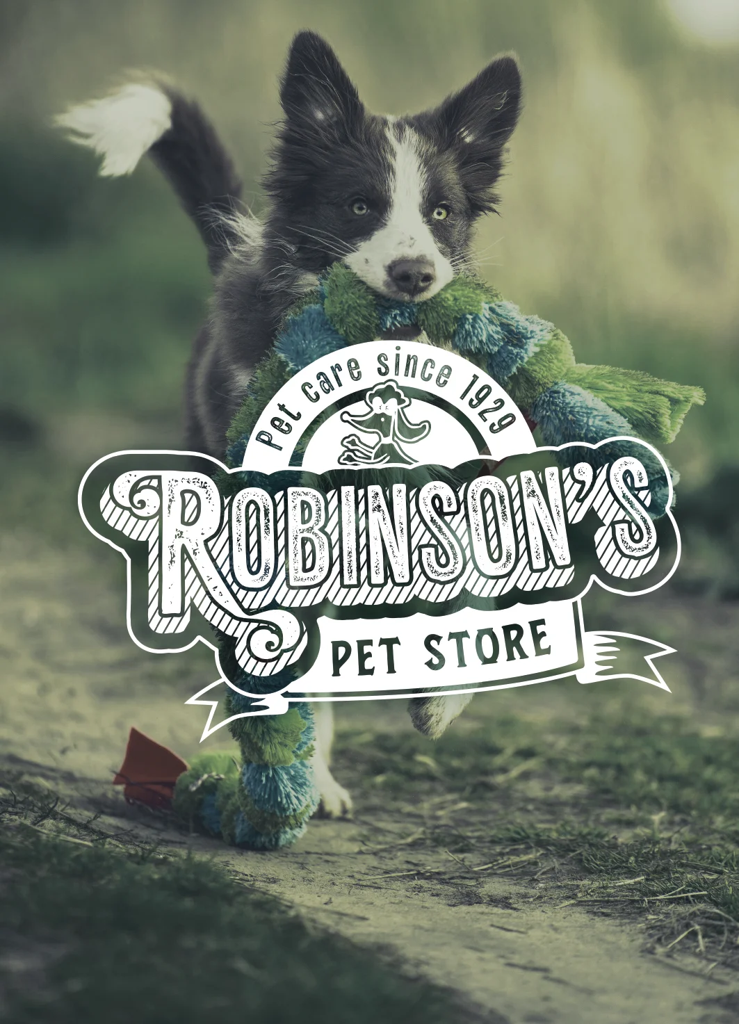 Oldest UK pet store brand design