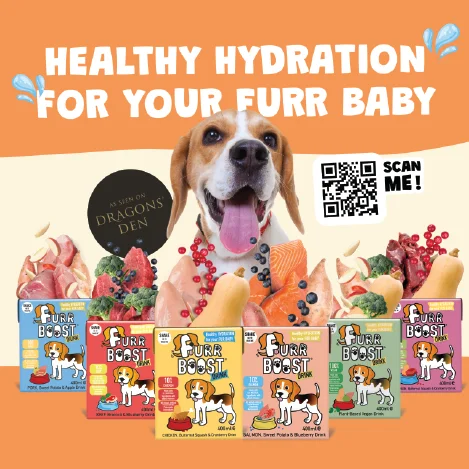 Pet brand Graphic design support - social media posts