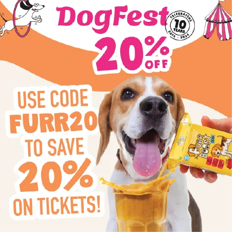 Pet brand Graphic design support - social media