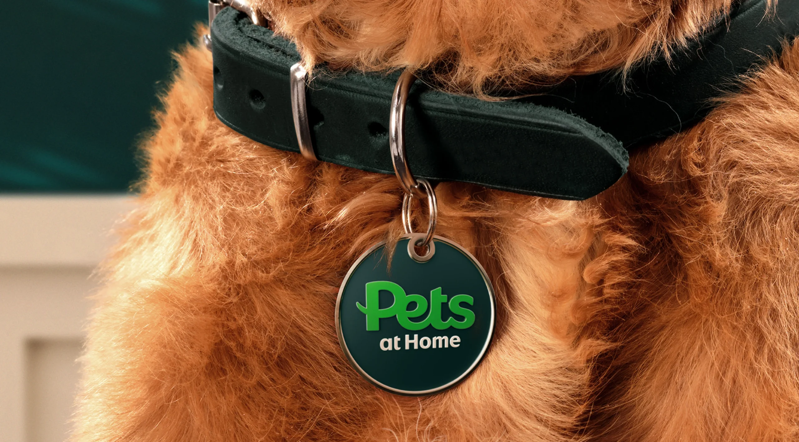 Pets at home logo review