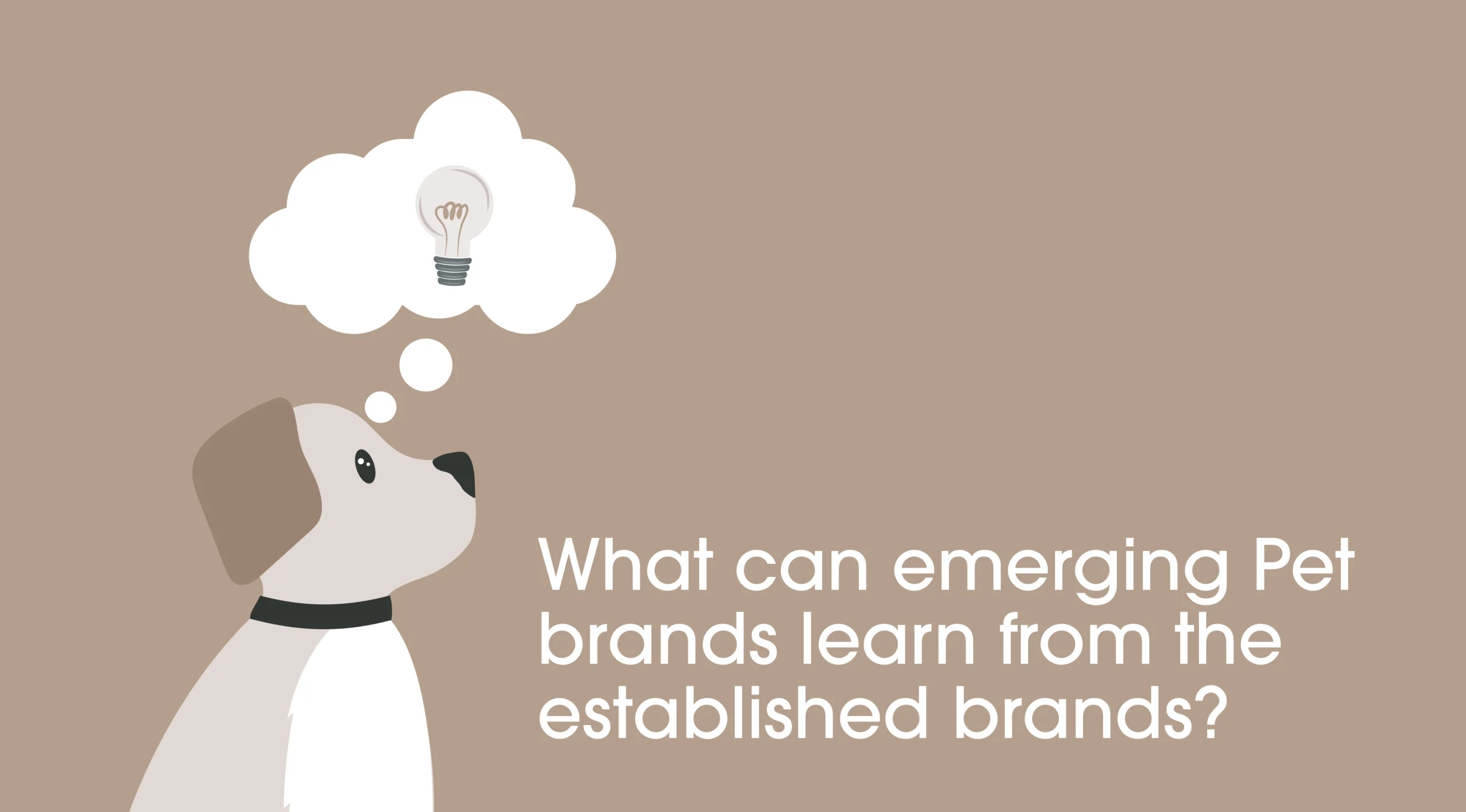 What can we learn from successful pet brands