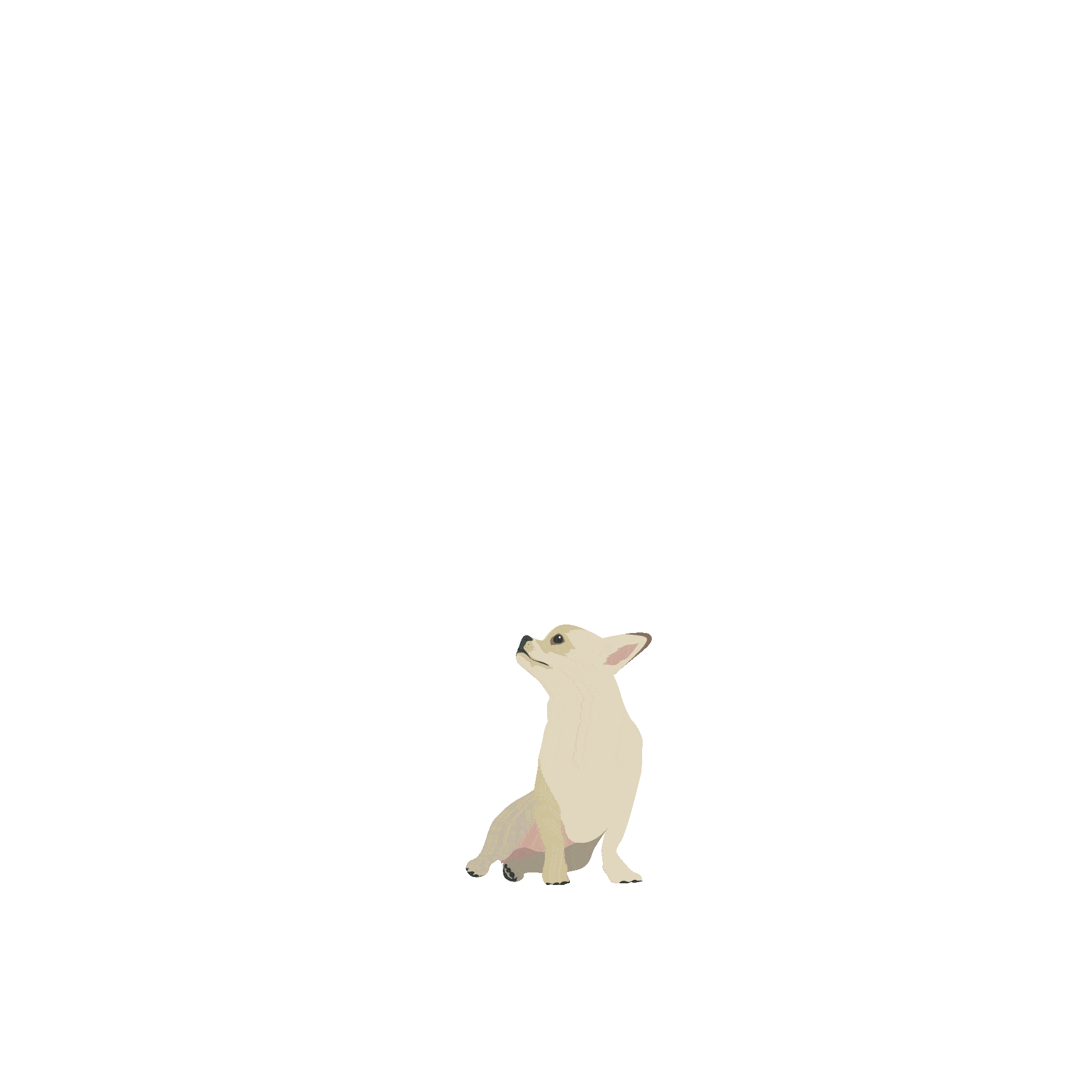 Play with the big dogs - animated gif showing different sized dogs as a metaphor for brand growth