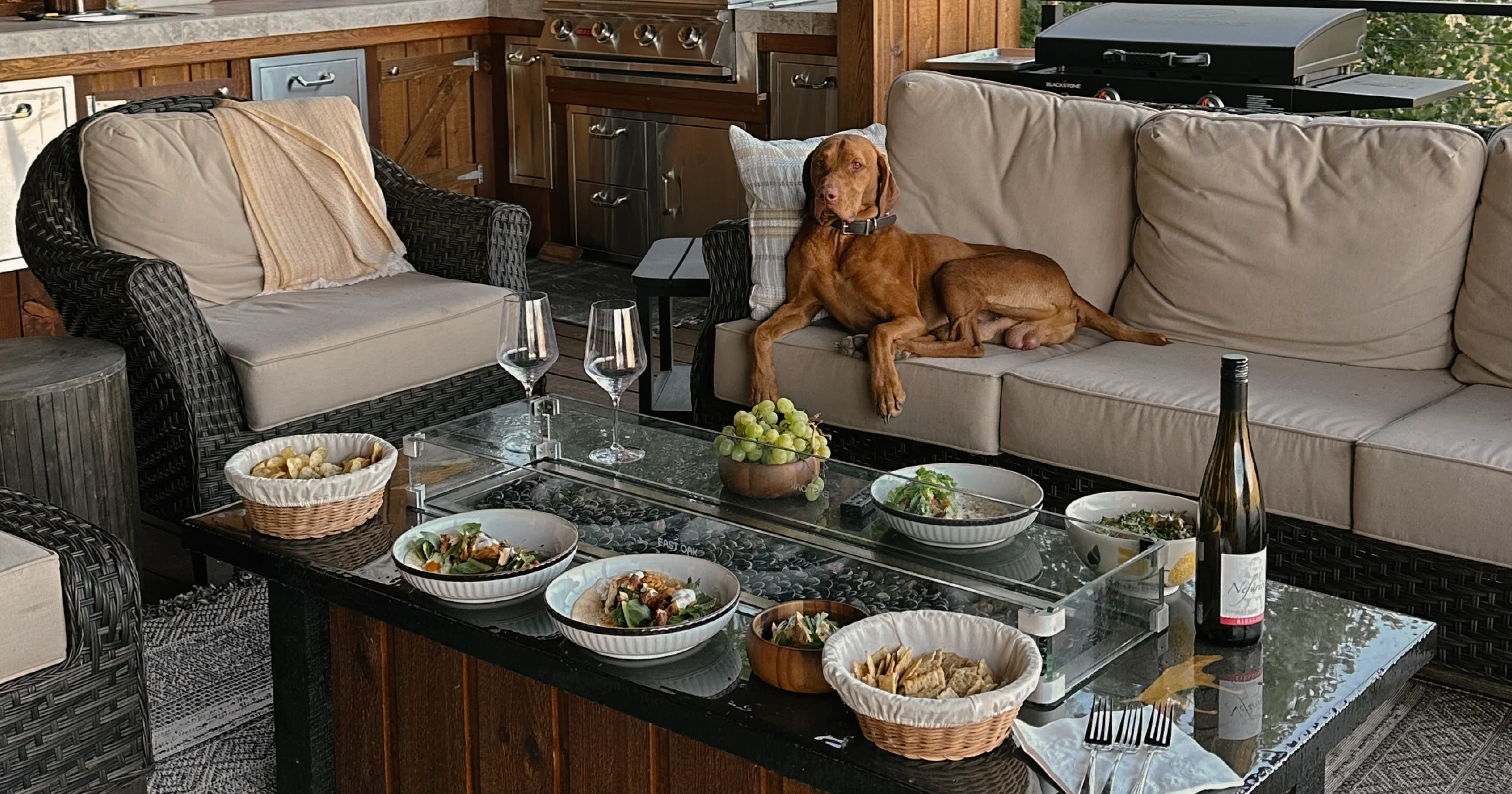 Pet brand imagery