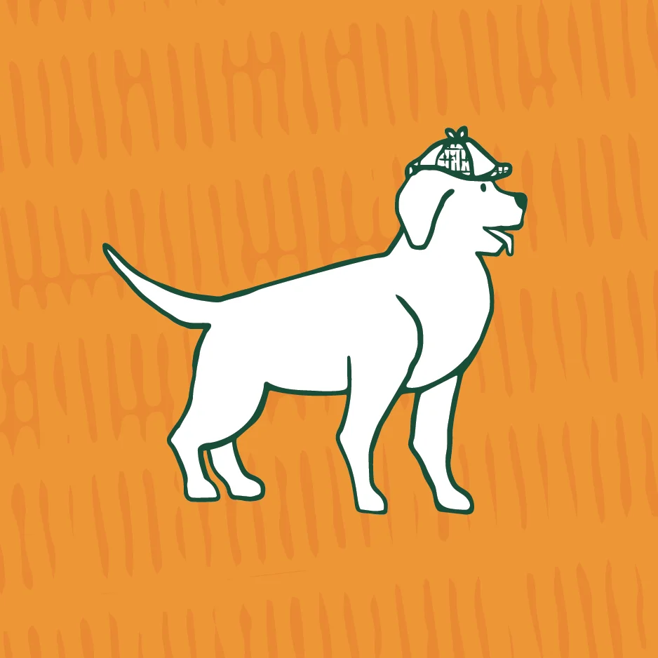 Pet Brand illustrations 2