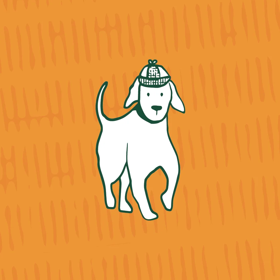 Pet Brand illustrations