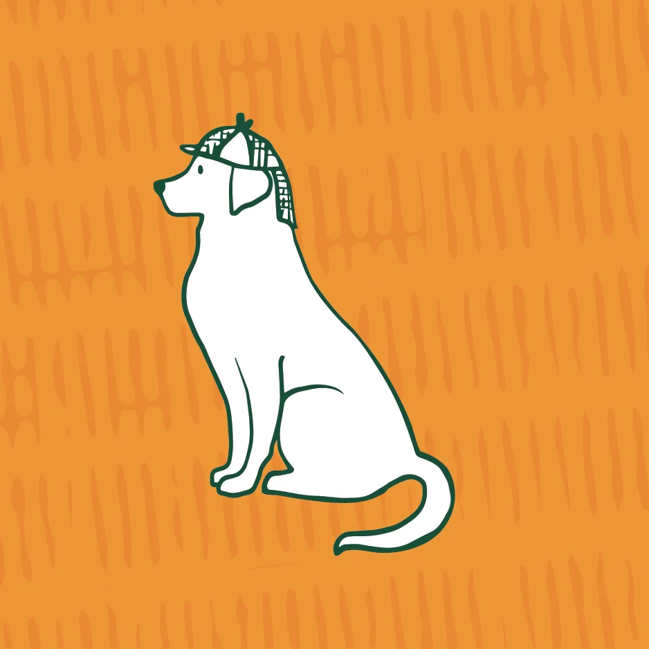 Pet Brand illustrations