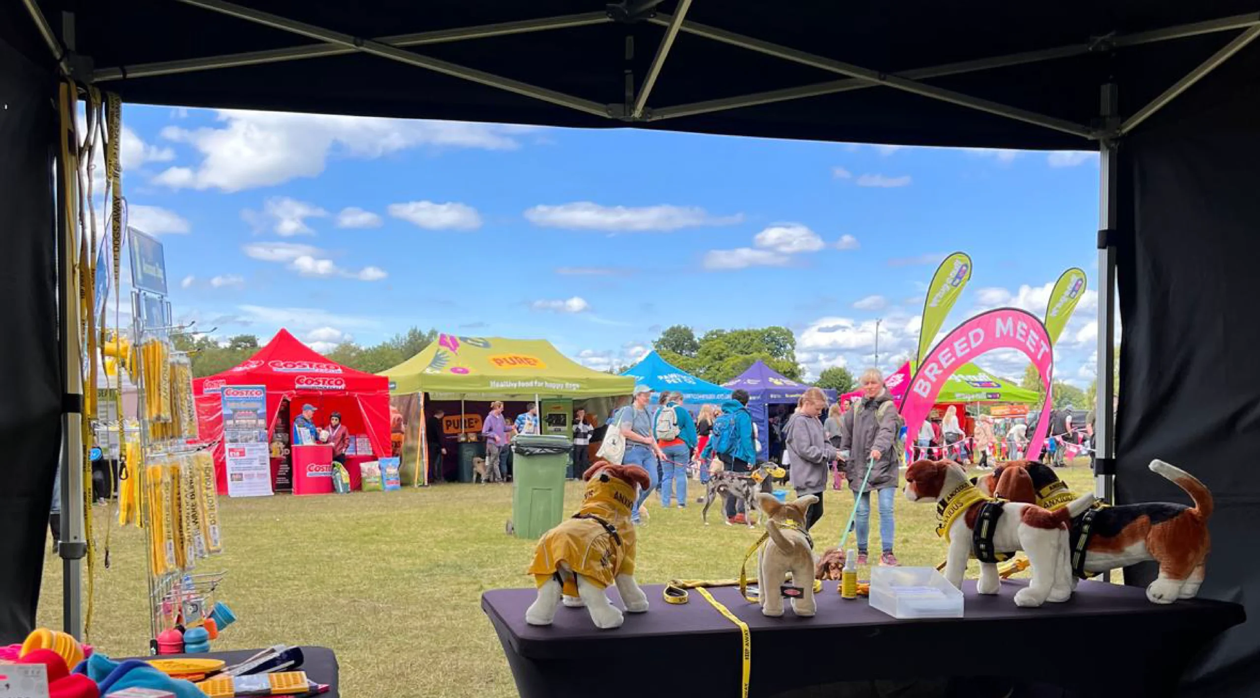 Outdoor pet events - Dog fest 