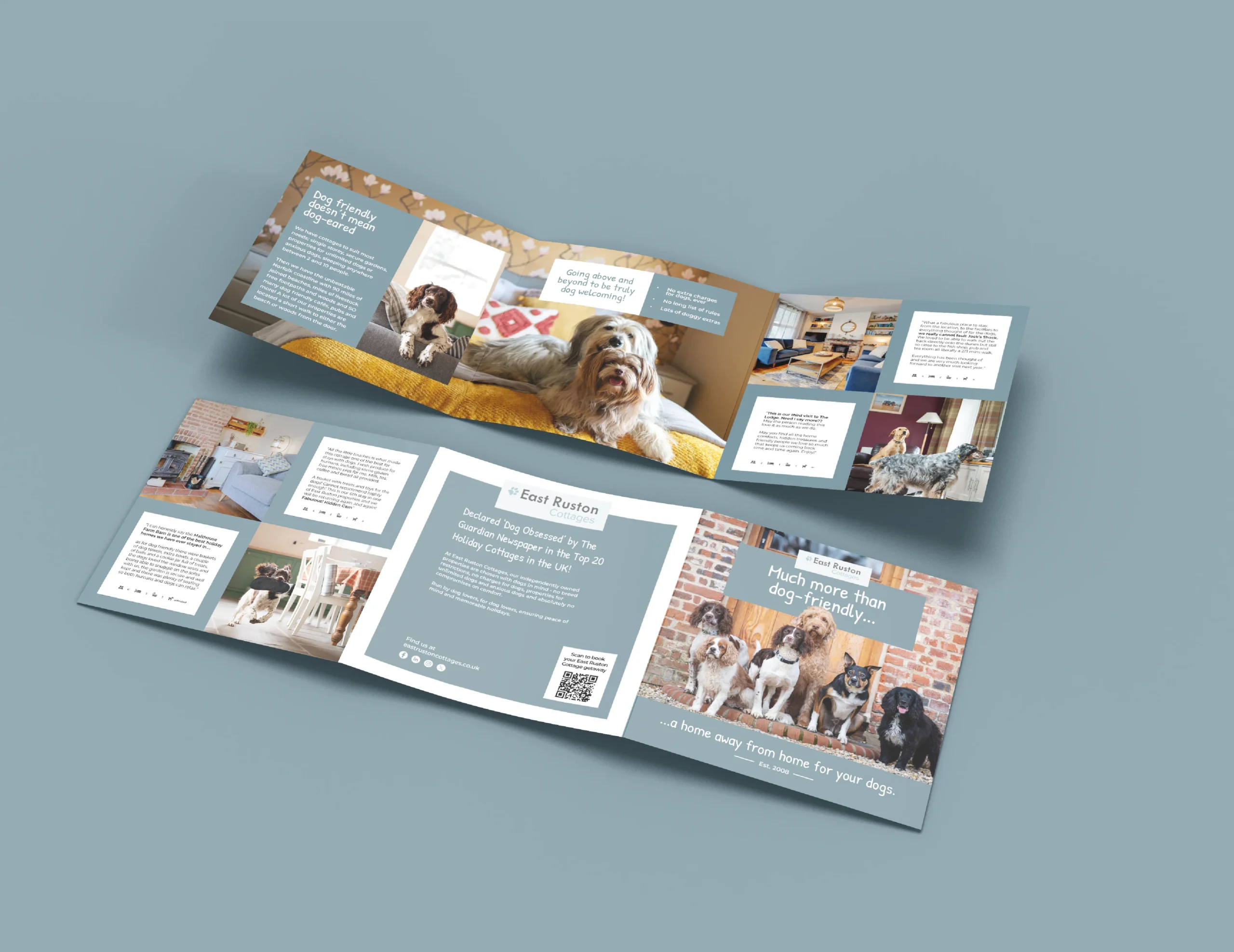 Fold out leaflet for crufts promo