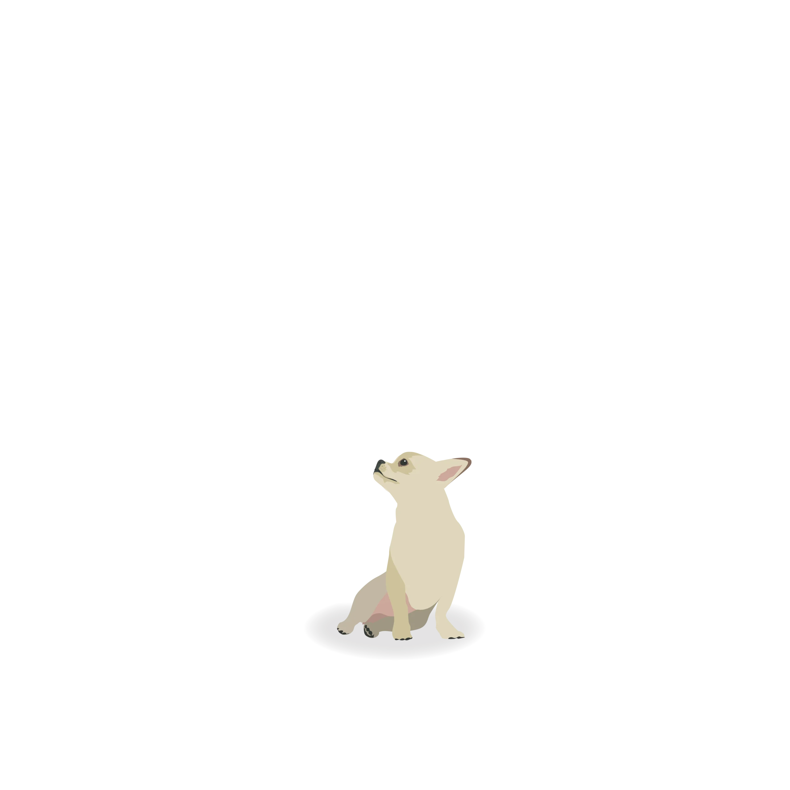 Chihuahua - representing smaller pat businesses