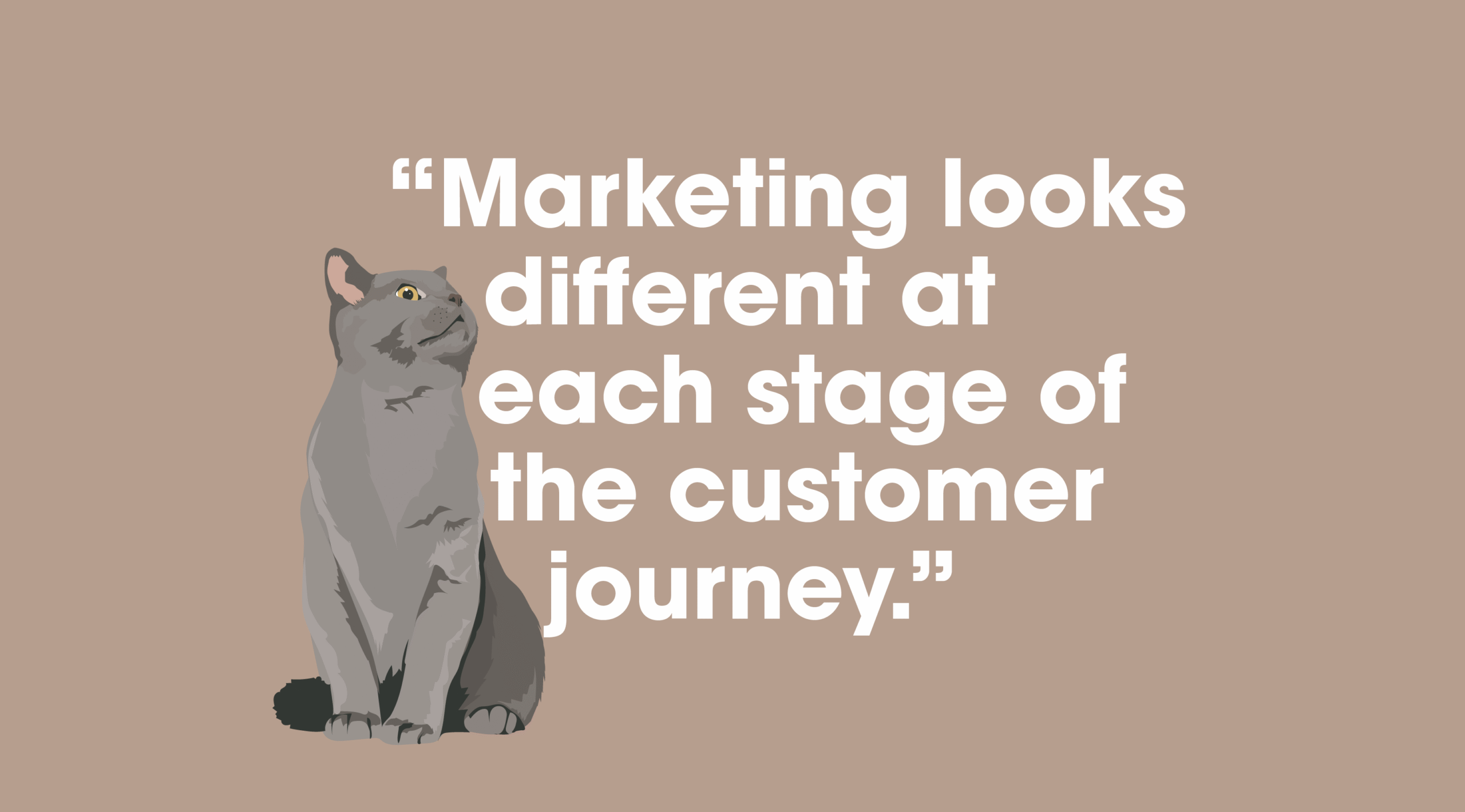 Pet brand marketing - customer journey