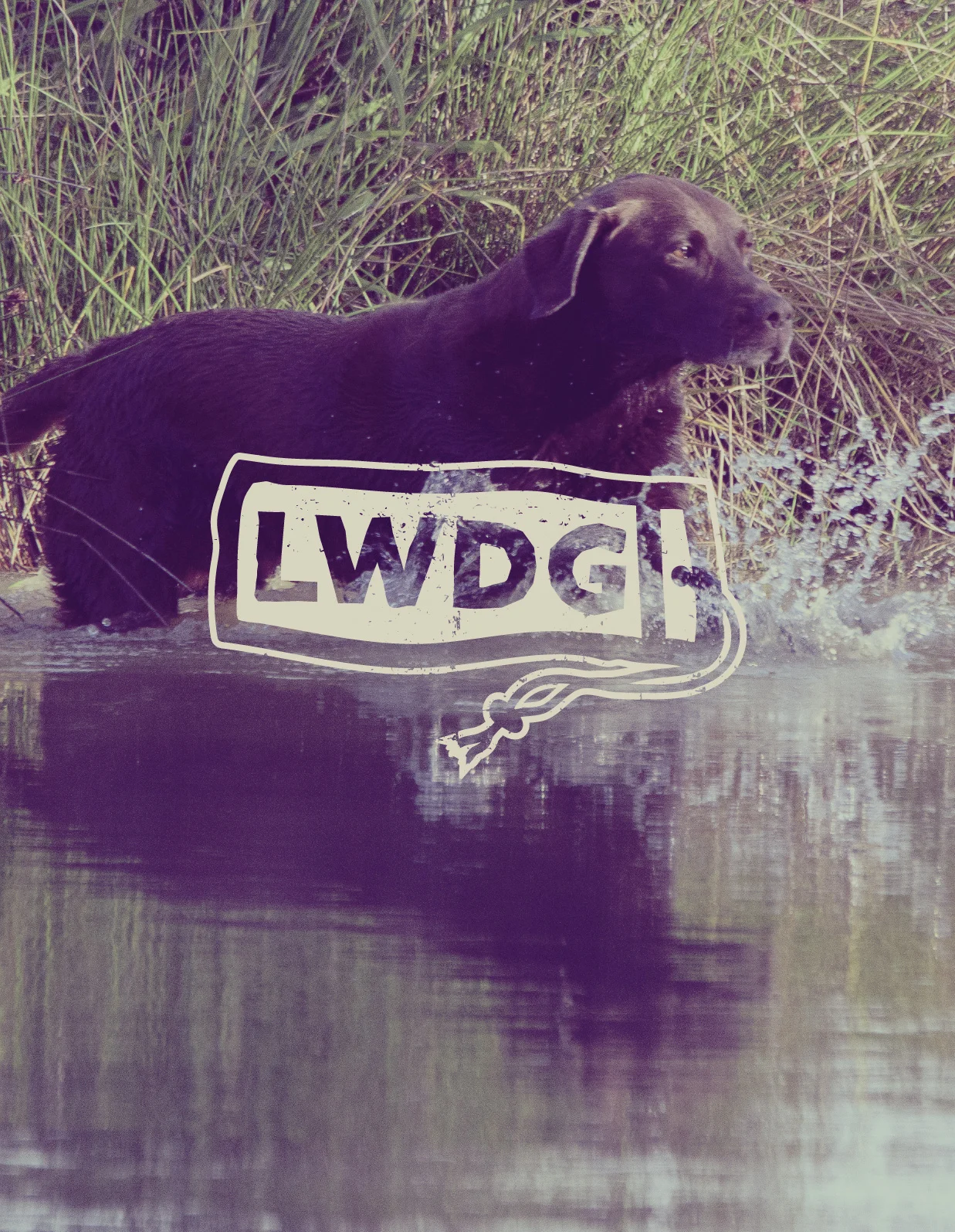 Gundog training branding_Dog trainer logo - LWDG small space lettermark