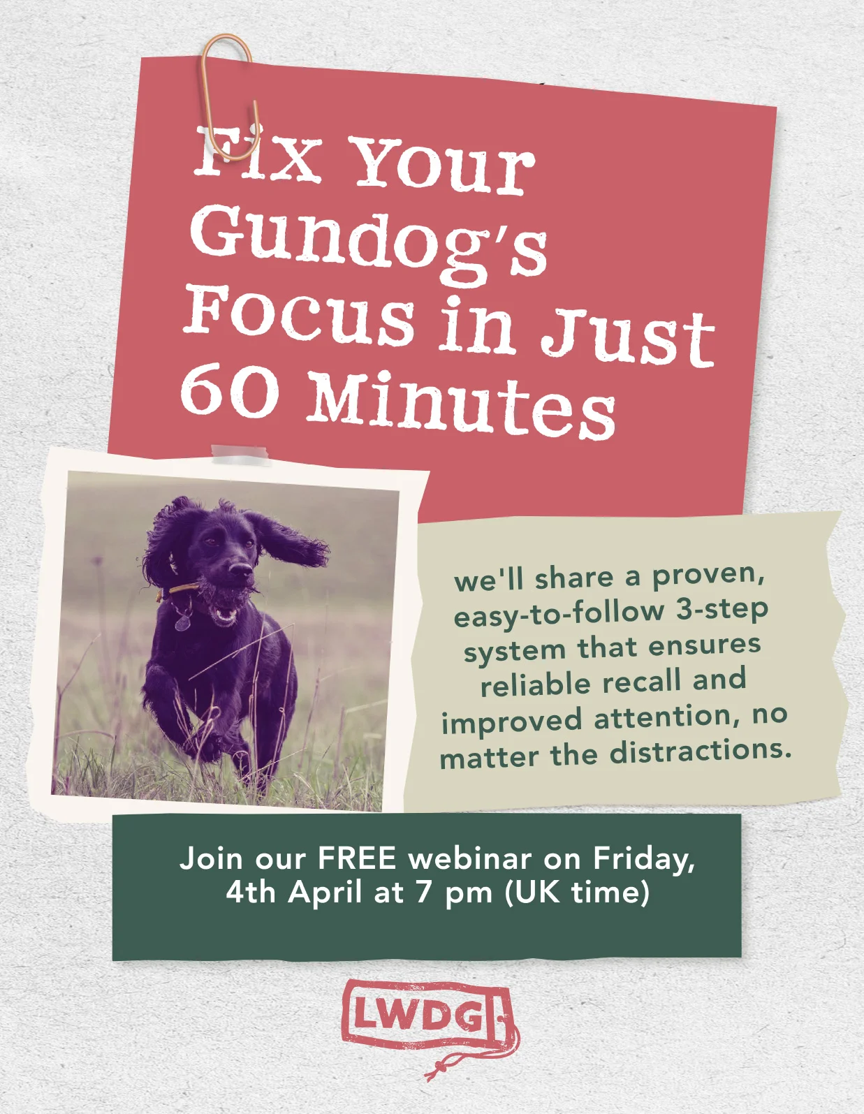 Working dog training - LWDG social media ad
